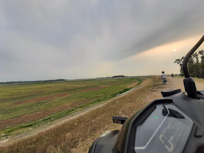 Perkebunan